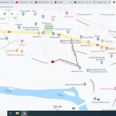Apartament Elefant Tg. Ocna Apartment Tîrgu Ocna Екстериор снимка