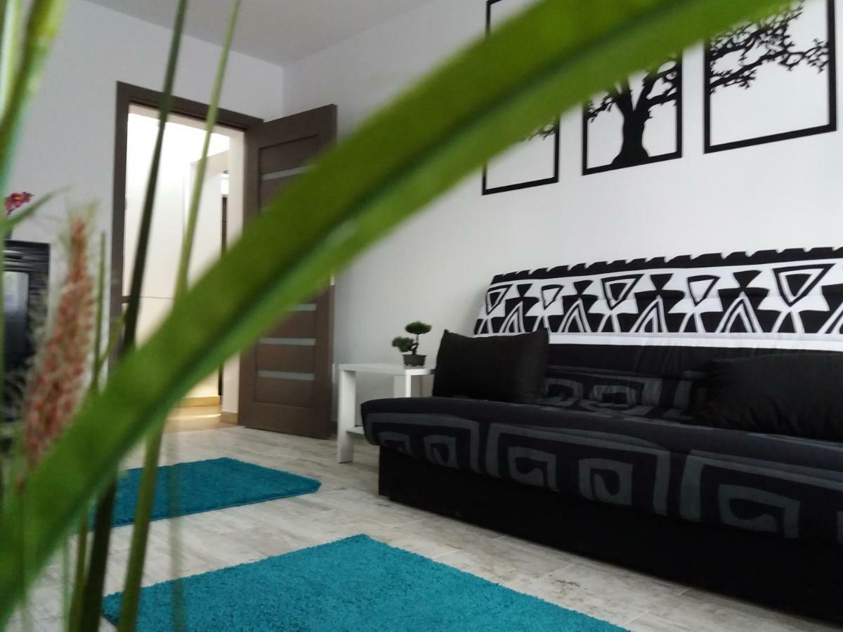 Apartament Elefant Tg. Ocna Apartment Tîrgu Ocna Екстериор снимка