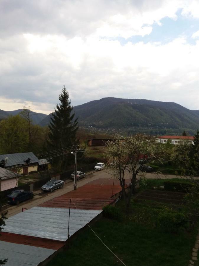 Apartament Elefant Tg. Ocna Apartment Tîrgu Ocna Екстериор снимка