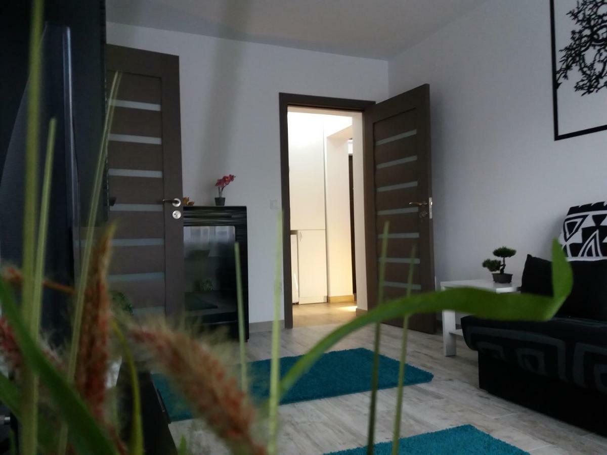 Apartament Elefant Tg. Ocna Apartment Tîrgu Ocna Екстериор снимка